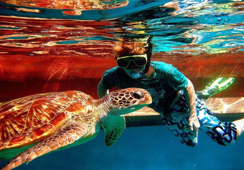 Similan island day trip by speedboat. Price adult 2,700 baht per person Children 4-11 year price 2,500 baht - Image 3